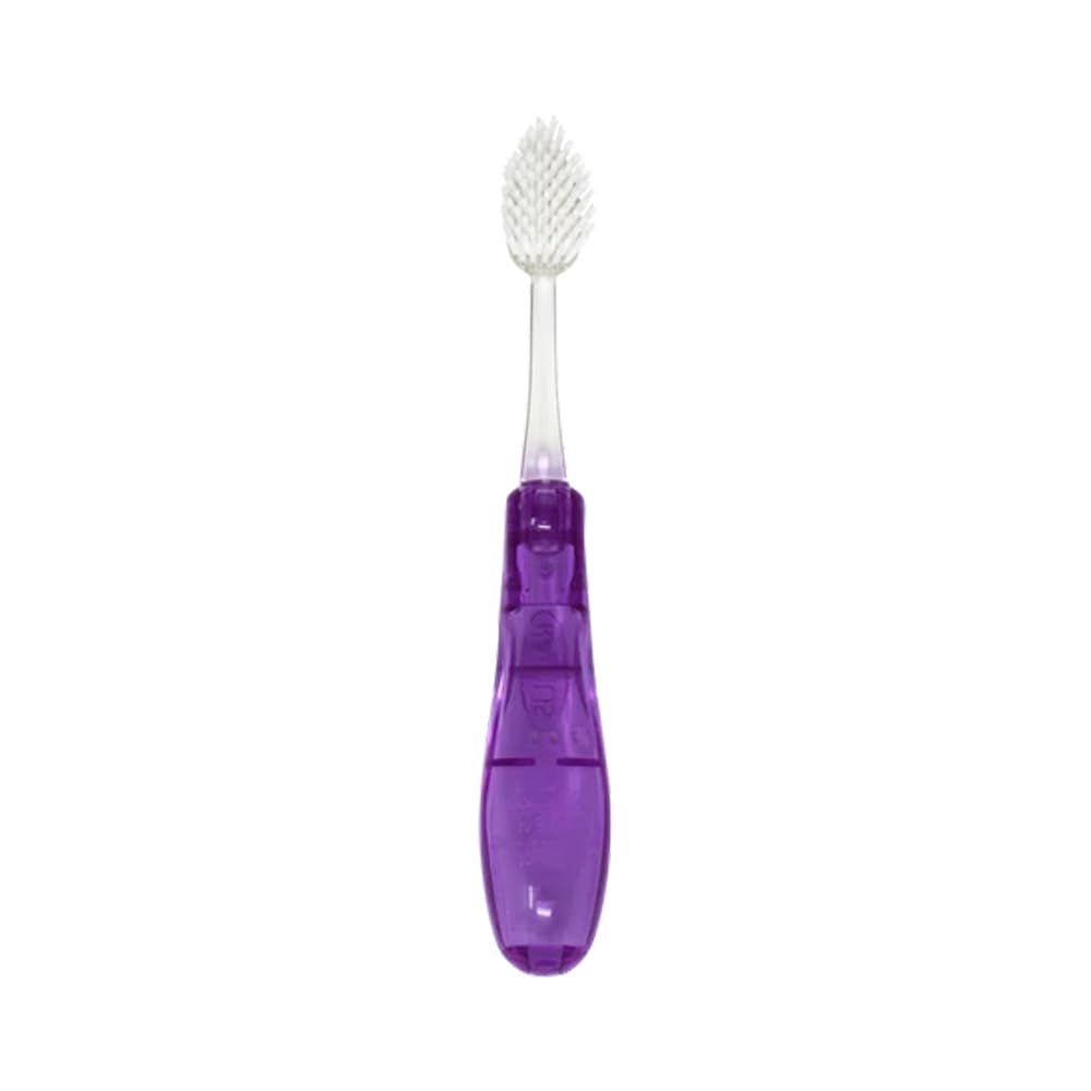 Radius Tour Travel Brush & Case with Replaceable Brush Head ADA Accepted Toothbrush Improve Gum Health - Purple - Pack of 1