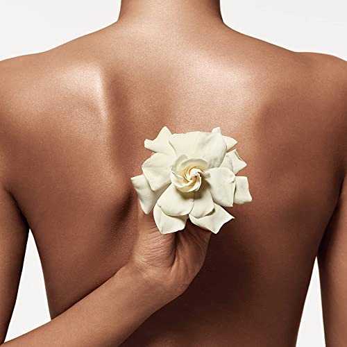 Donna Karan Cashmere Mist Luxury Eau de Toilette Set For Women - Mini Spray 0.5 Fl. Oz. & Purse Spray, Travel Spray 0.5 Fl. Oz.