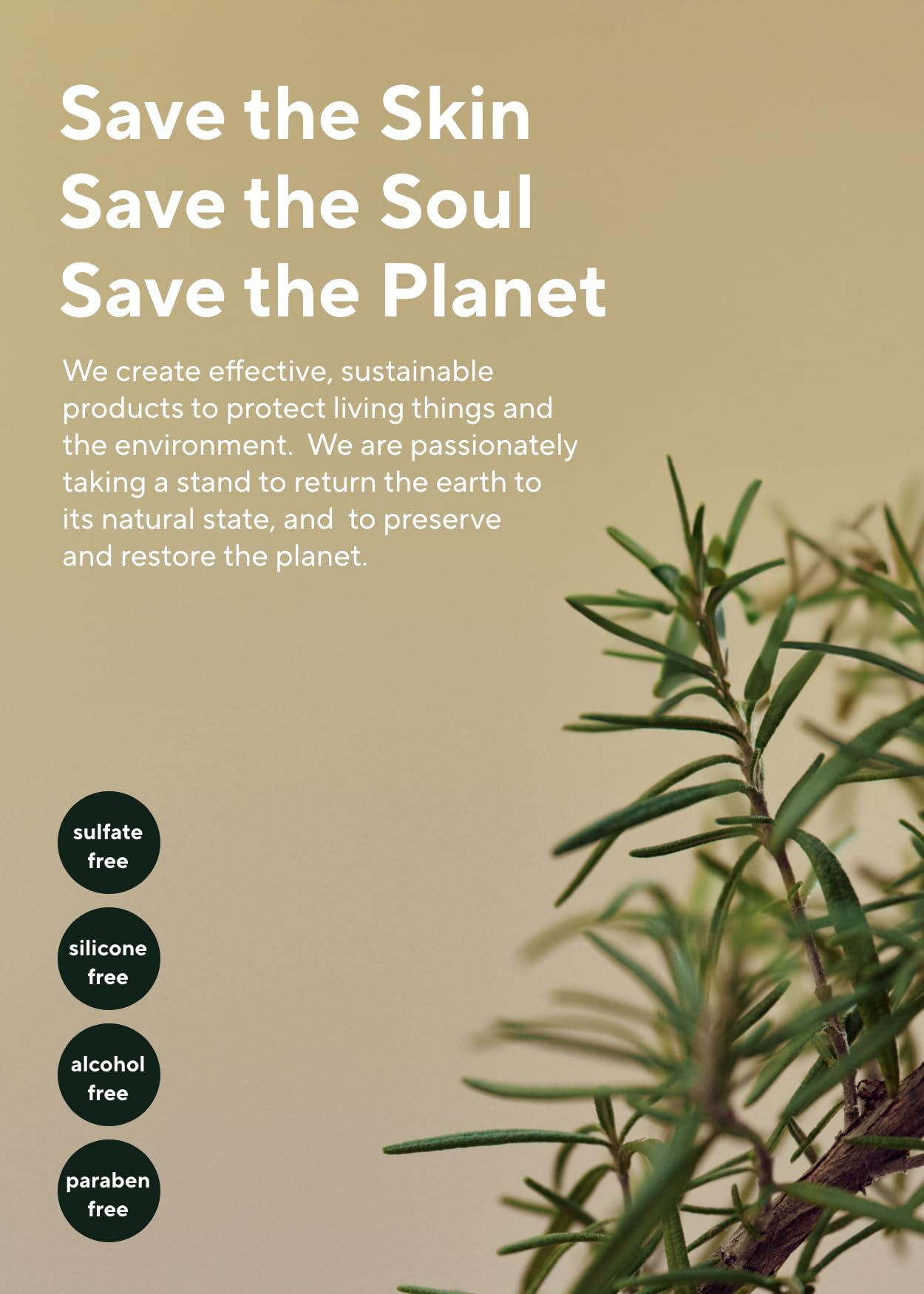 AROMATICA Rosemary Dry Shampoo Powder 10g/0.3oz - Travel Size Dry Shampoo with Panthenol and Biotin For Hair | Non aerosol & Talc Free